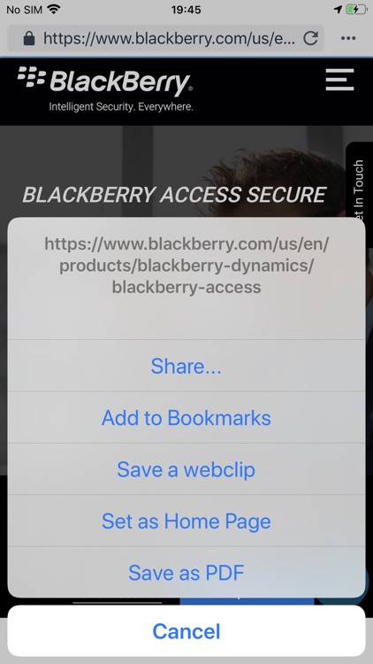 BlackBerry Access