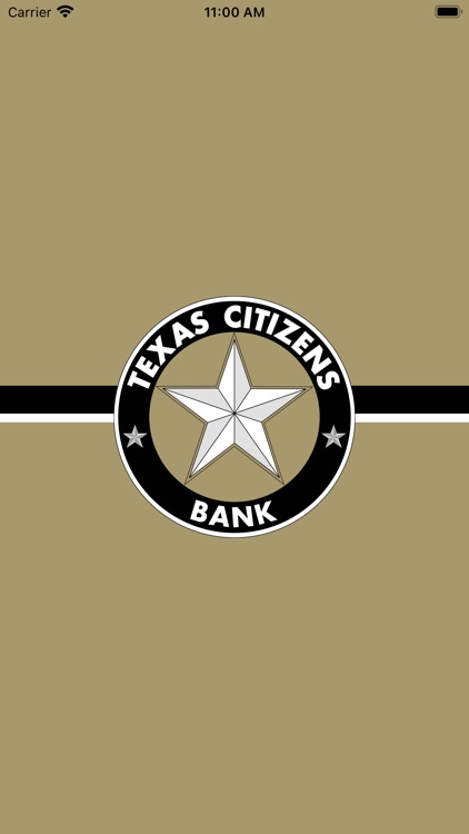 Texas Citizens Bank Business