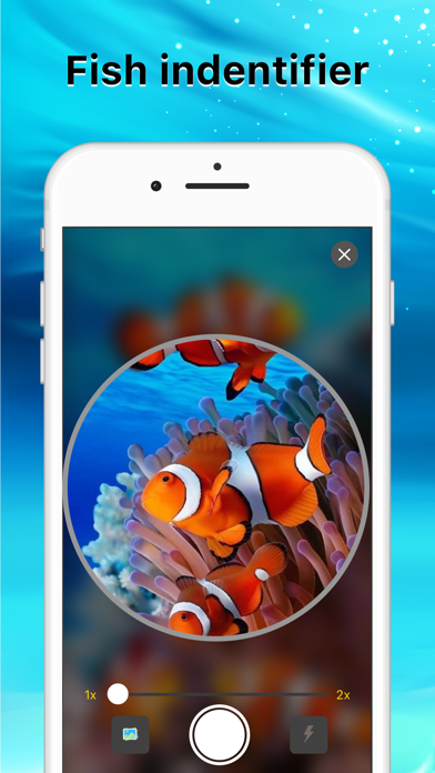 FishIdentifier