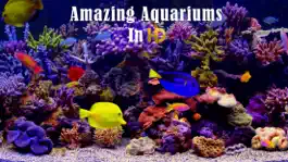 Game screenshot Amazing Aquariums In HD mod apk