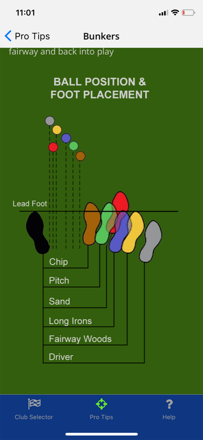 Golf Caddy Personal Assistant