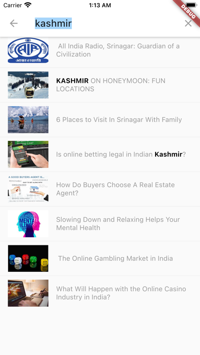Rising Kashmir Screenshot