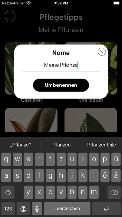 MaryCare Screenshot