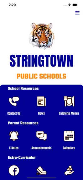 Game screenshot Stringtown Tigers apk