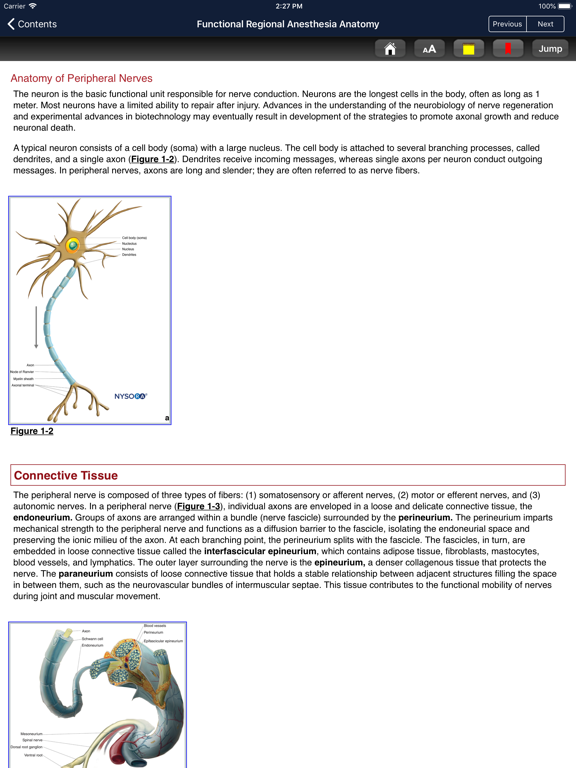 Hadzic's Nerve Blocks, 3E iPad screenshot
