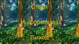 Game screenshot Amber Museum Guide hack