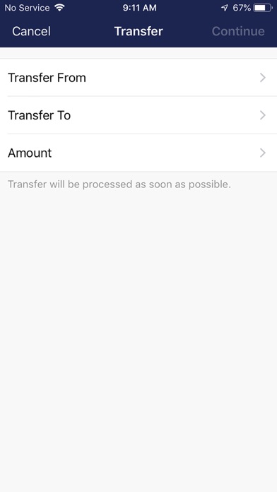 FNB Picayune Bank Screenshot