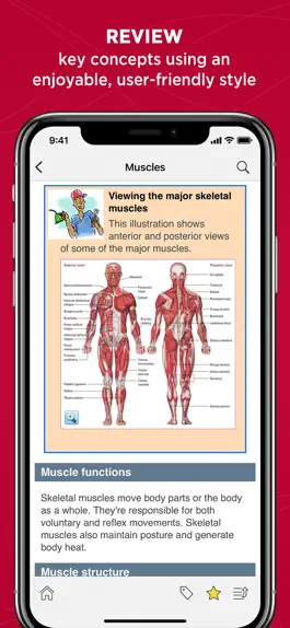 Game screenshot Anatomy & Physiology Made Easy mod apk