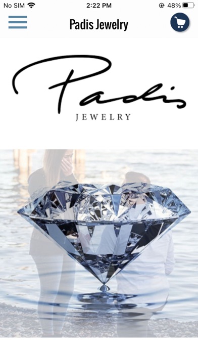 Padis Jewelry Diamonds Screenshot