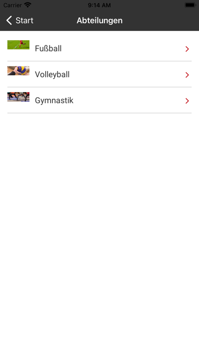 SV Mauerstetten Screenshot