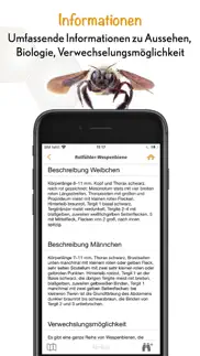 wildbienen id bienabest problems & solutions and troubleshooting guide - 4