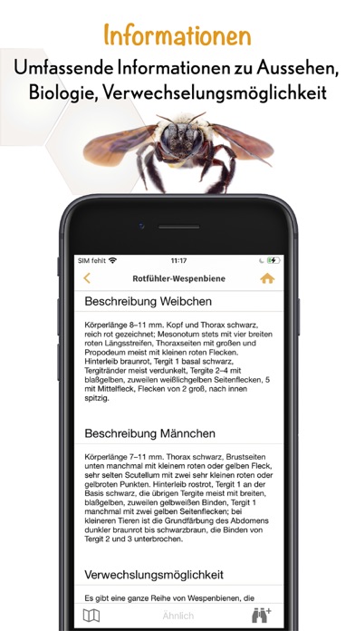 Wildbienen Id BienABest Screenshot