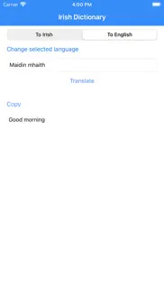 irish dictionary pro iphone screenshot 2