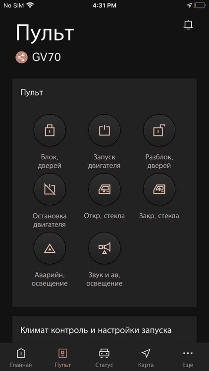 Genesis Connected Services