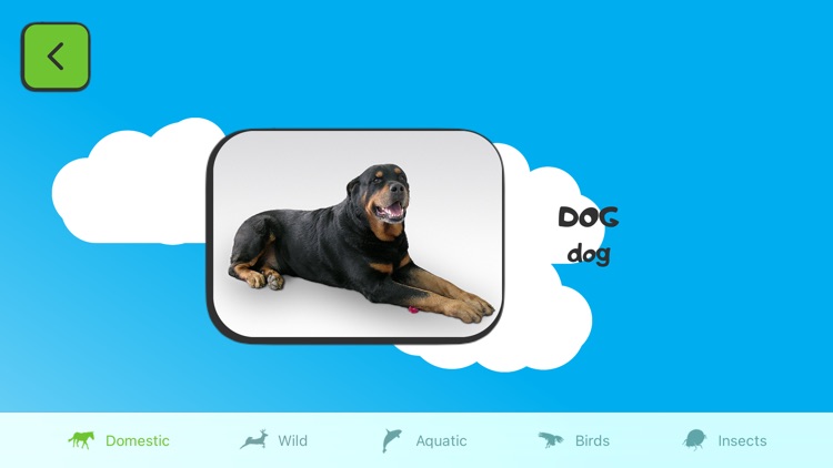 ABC for Kids Learn English 2+