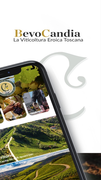 BevoCandia Screenshot