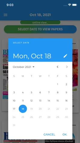 Game screenshot EPaper Vendor hack