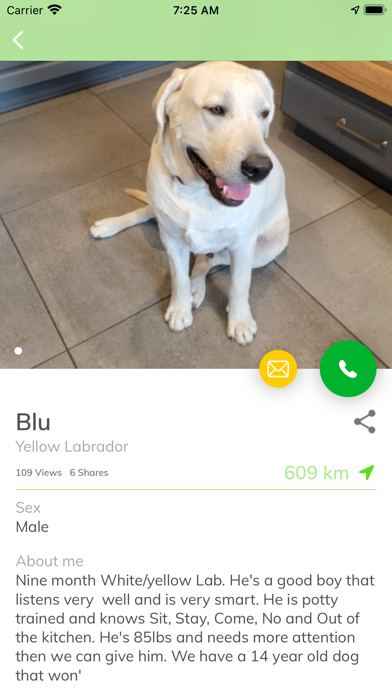 Pets Adoption: Adopt Dog, Cat Screenshot