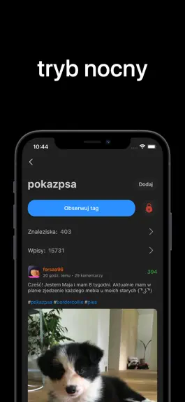 Game screenshot Zakop - Wykop.pl browser hack