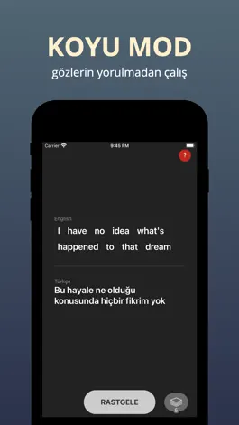 Game screenshot Dil: İngilizce Pratik Cümleler apk