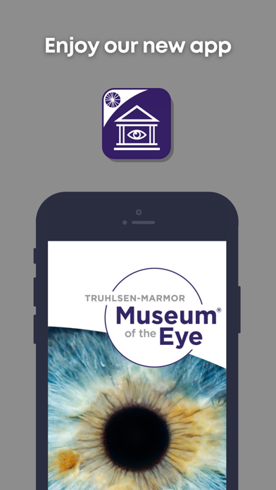 Museum of the Eye Screenshot