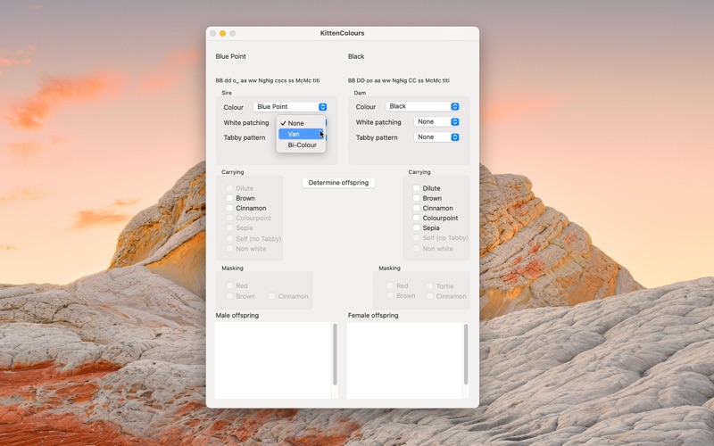 Screenshot #3 pour KittenColours