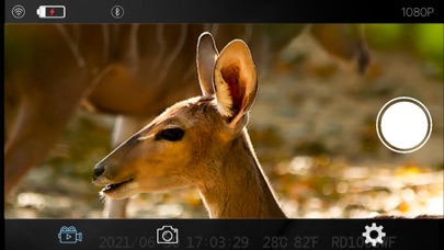Trail Camera Pro Screenshot