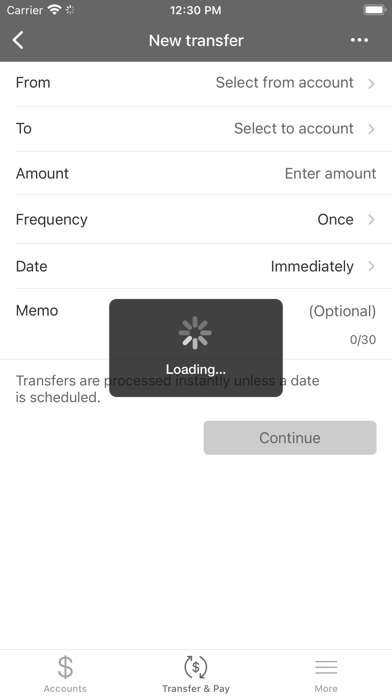 MS Public Employees CU Screenshot