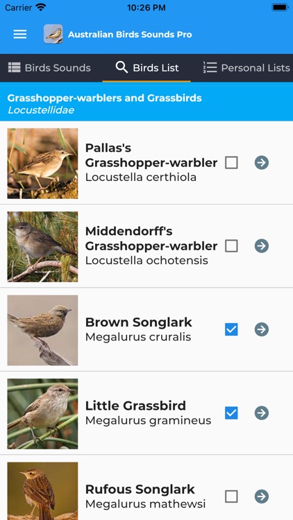 Australian Birds Sounds Pro screenshot-3
