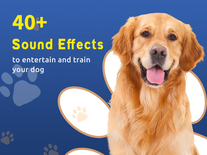 Dog Teaser Sound Box