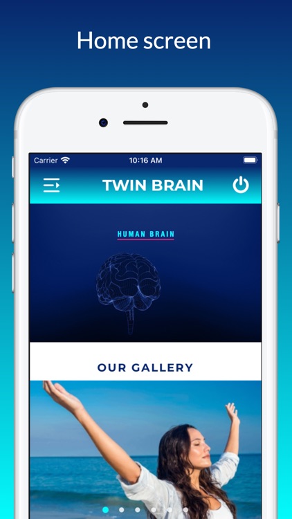 Twin Brain screenshot-3