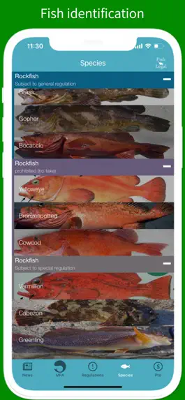 Game screenshot FishLegal hack