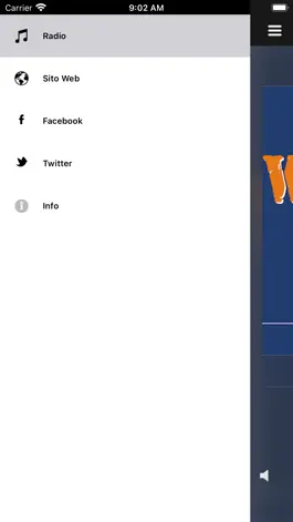 Game screenshot Wideline Radio apk