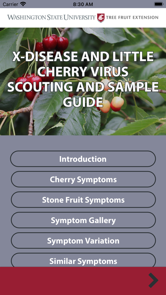 #1. Little Cherry Scouting Guide (iOS) Podle: Csek Creative