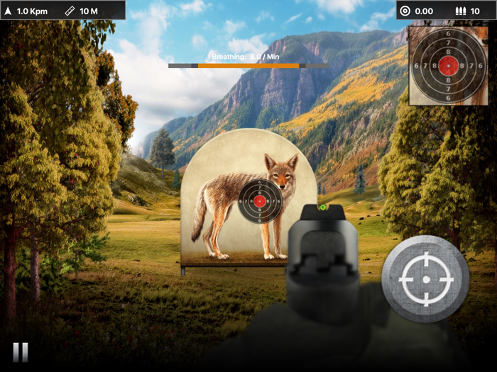 Coyote Target Shooting