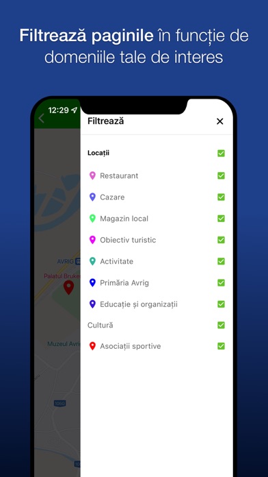 Avrig City Screenshot