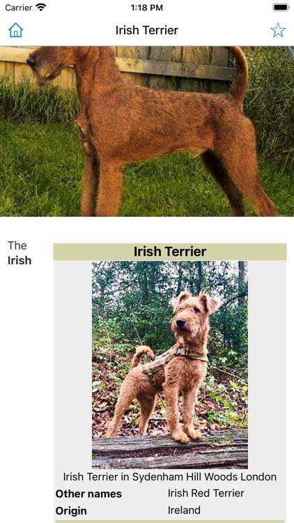 Encyclopedia of Dogs screenshot-3
