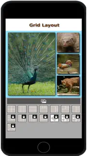 photo layout from sg iphone screenshot 3