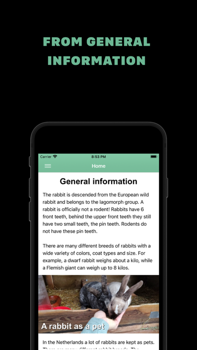 Screenshot #2 pour Rabbit information