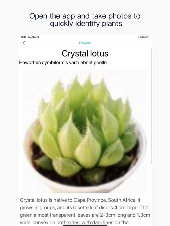 Photo Plant Identification screenshot 2