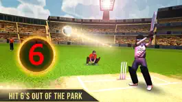 Game screenshot T20 World Tour cricket 2021 hack