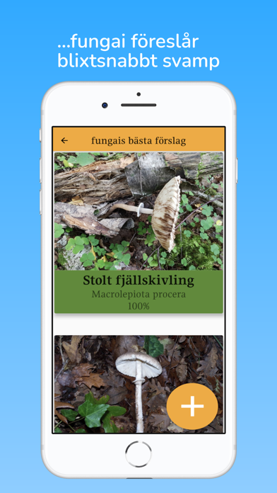 fungai - svampguide med AI Screenshot