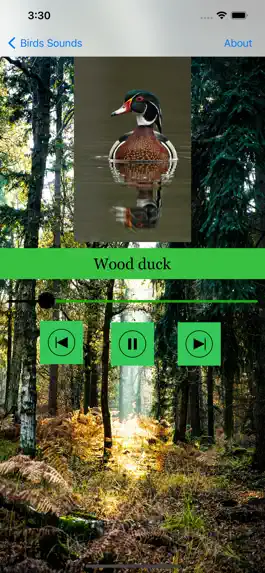 Game screenshot 100 Bird Sounds hack