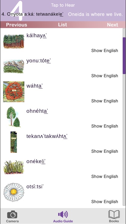 Oneida Media Player screenshot-3