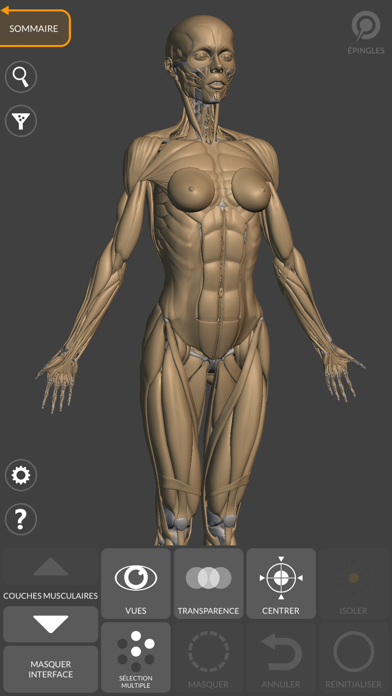 Screenshot #2 pour Anatomie 3D pour l'Artiste