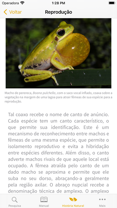 Anfíbios da Mata Atlântica Screenshot