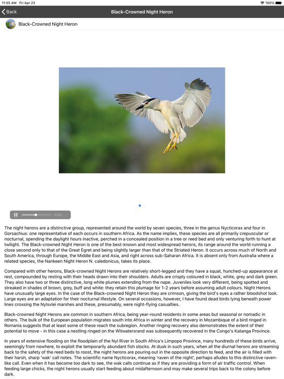 Screenshot #5 pour Birding In Southern Africa