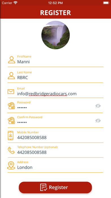 Redbridge Radiocars Screenshot