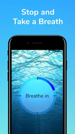 Game screenshot 3 Minute Mindfulness apk