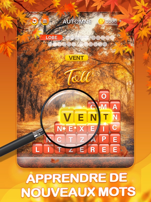 Mots Malins - Jeu de mots pro Mots Malins - Jeu de mots pro